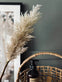 Pampas med LED lys og timerfunktion - VIAMAJA.DK