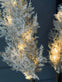 Pampas med LED lys og timerfunktion - VIAMAJA.DK