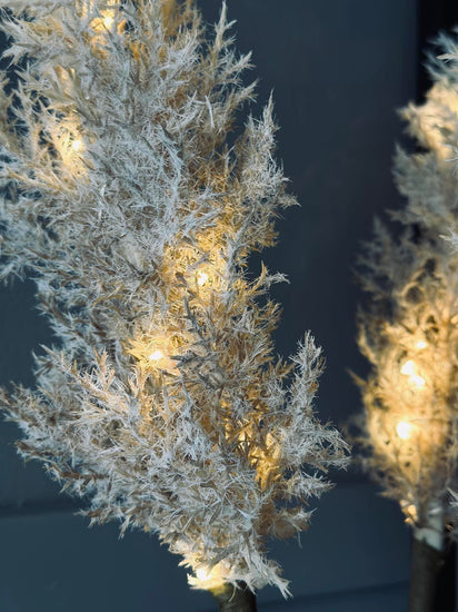 Pampas med LED lys og timerfunktion - VIAMAJA.DK