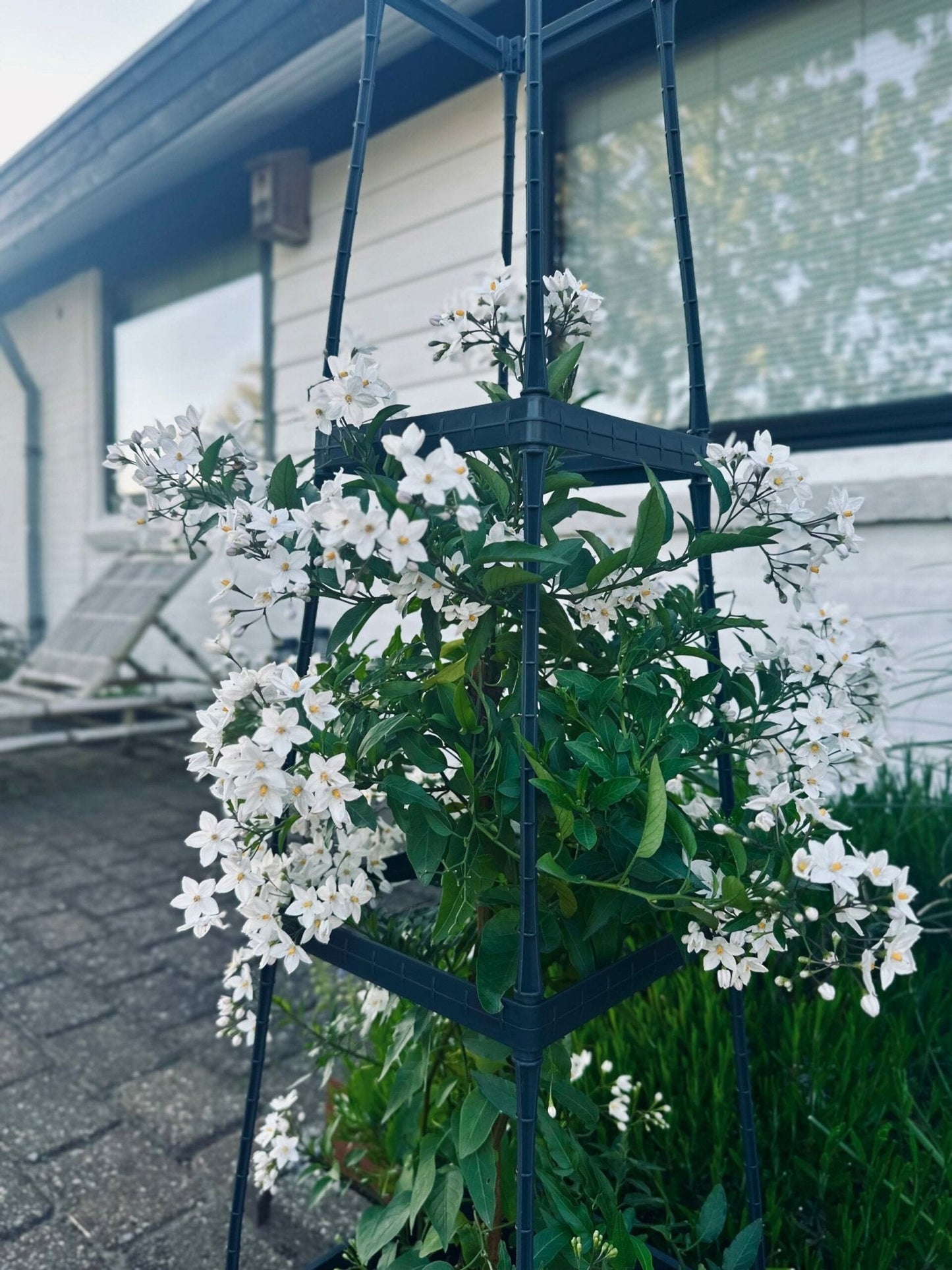 Plantetårn til tomater og klatreplanter - VIAMAJA.DK