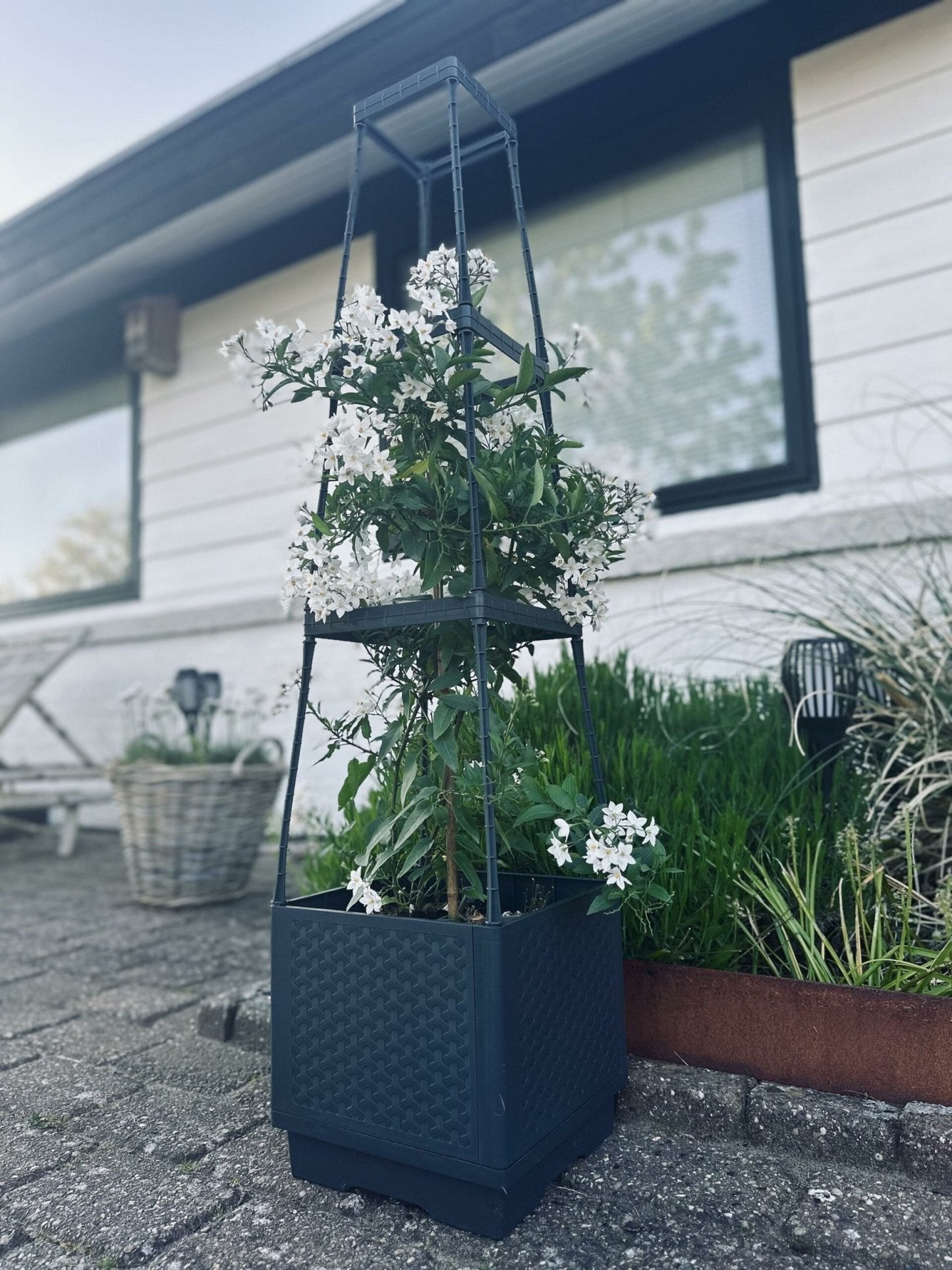 Plantetårn til tomater og klatreplanter - VIAMAJA.DK