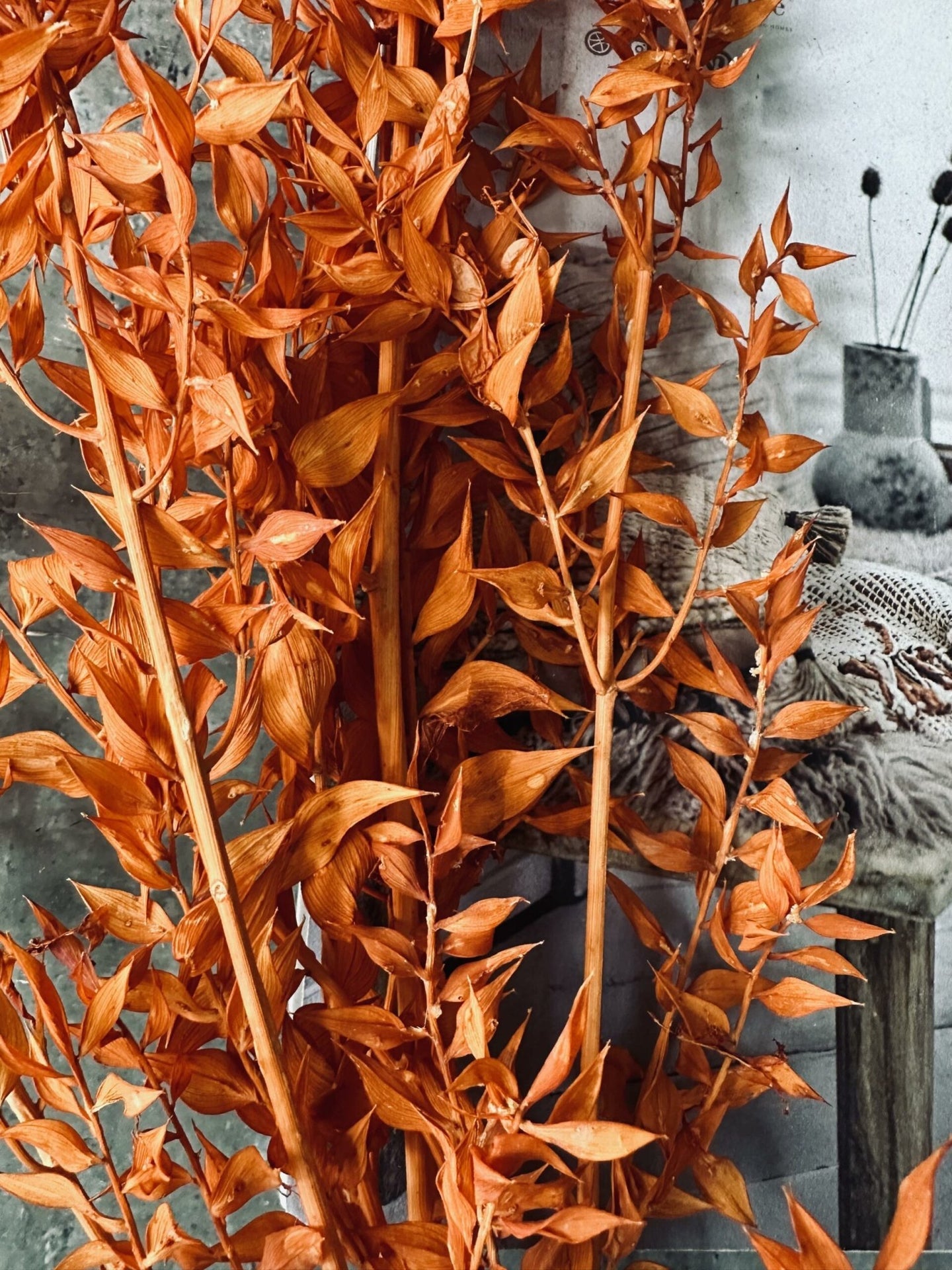 Tørret blomster – Orange - VIAMAJA.DK