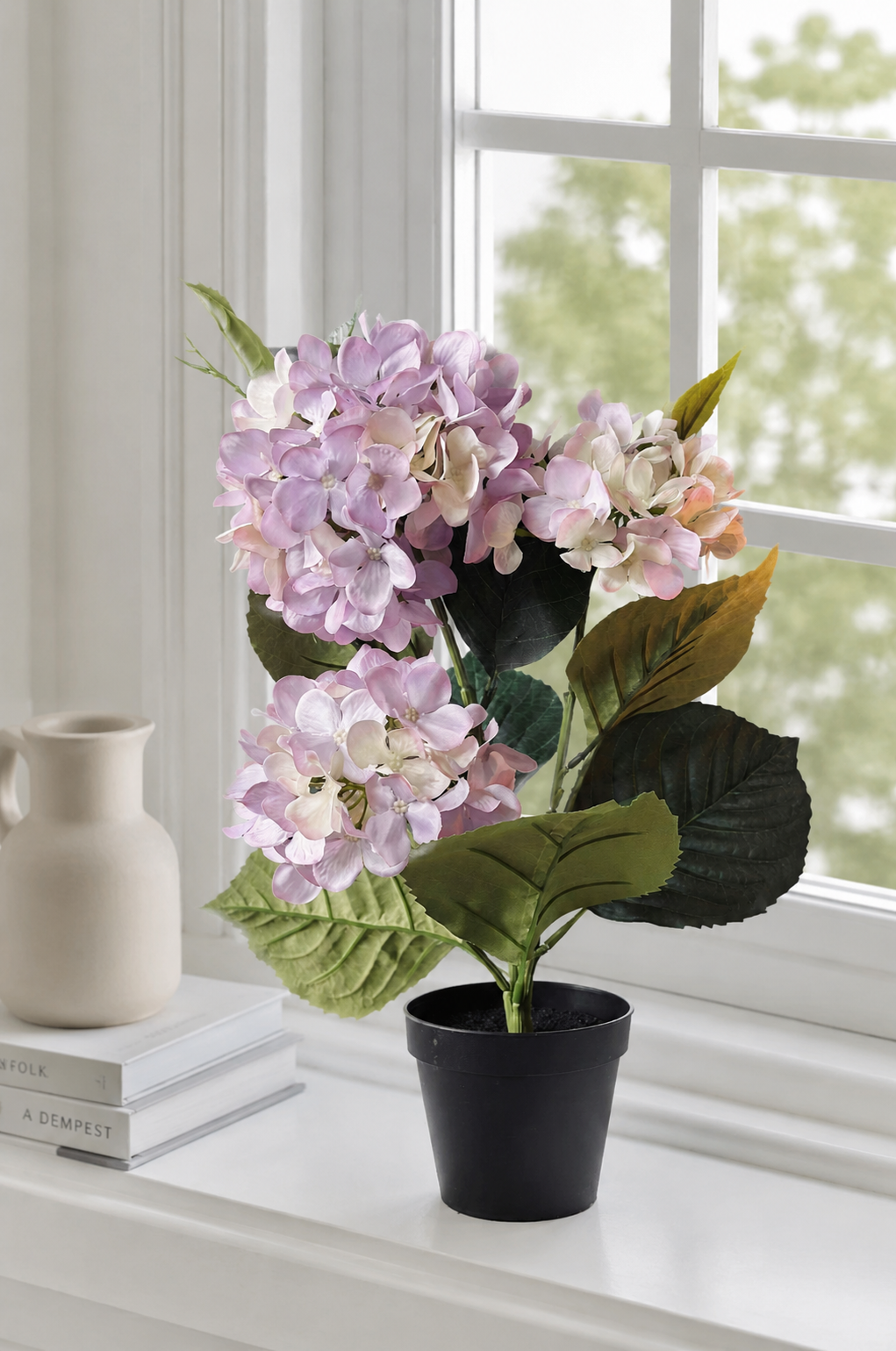 Hortensia i potte - Syrin