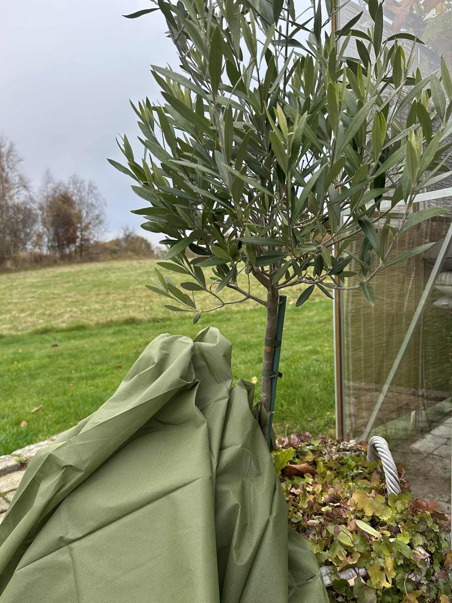 Plantebeskyttelse - 10 meter