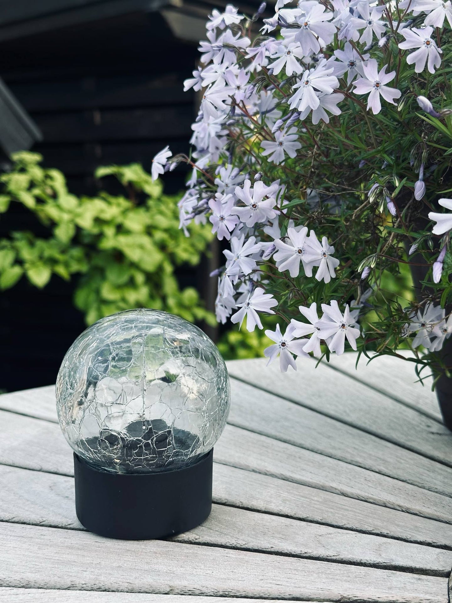 Solcelle glasskule - Svart fot