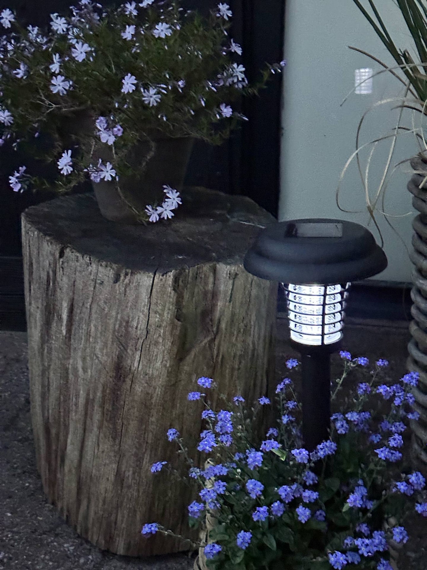 Fakkel MOSQUITO 2IN1 SOLAR