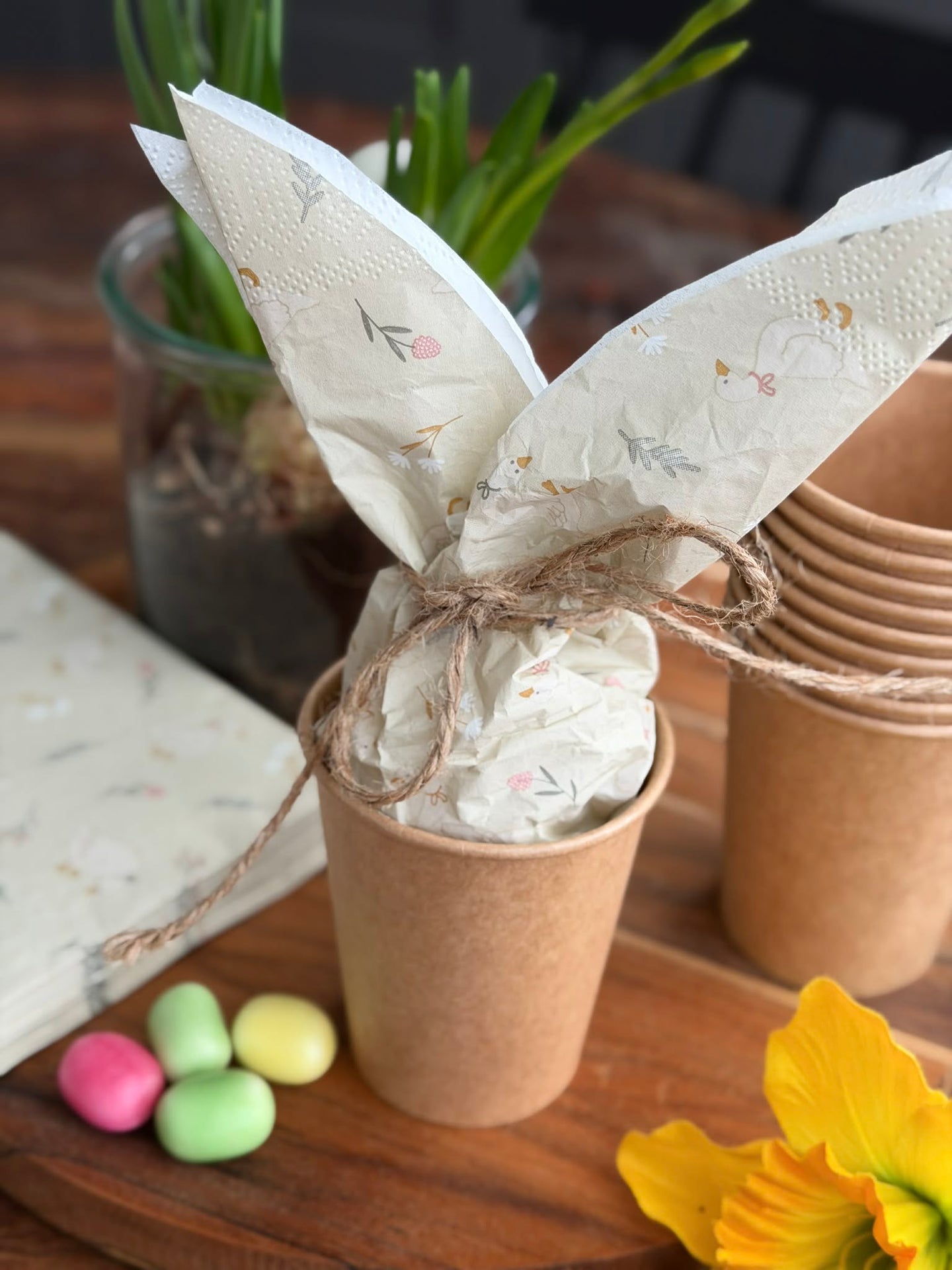 Kopper 10 stk. - Papp 250 ml