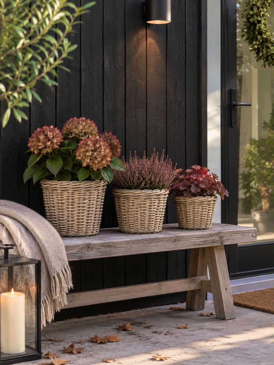 Plantekurver i natur - 3 stk