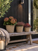 Plantekurver i natur - 3 stk