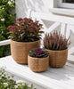 Kurvsett Rattan - Natur 3 stk.
