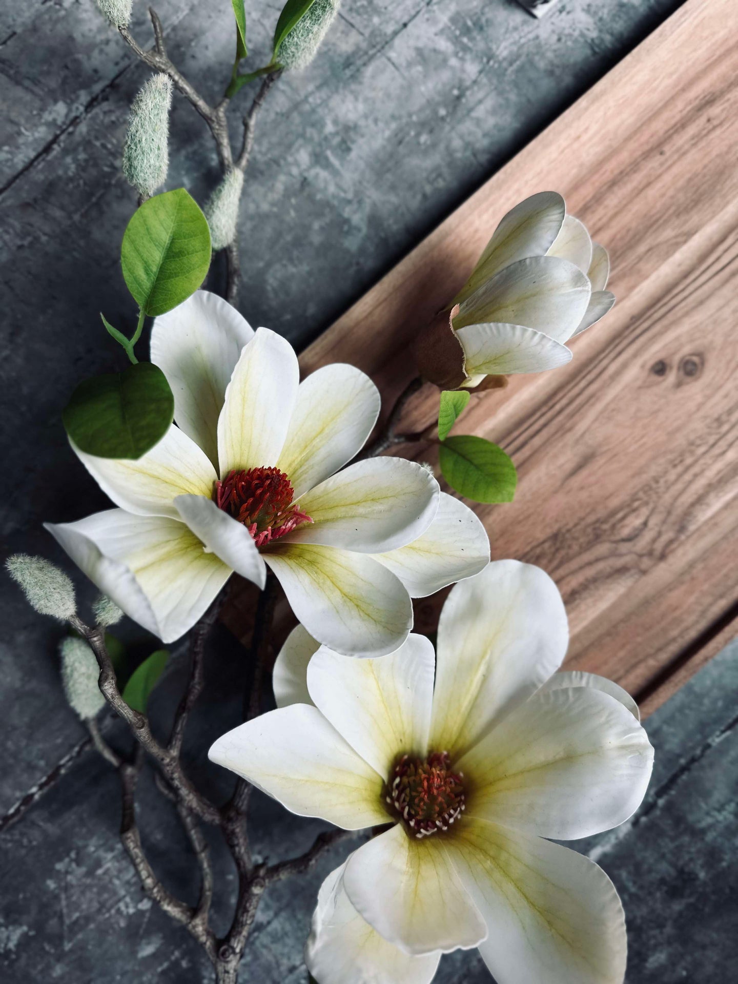 Blomst Magnolia - Hvit