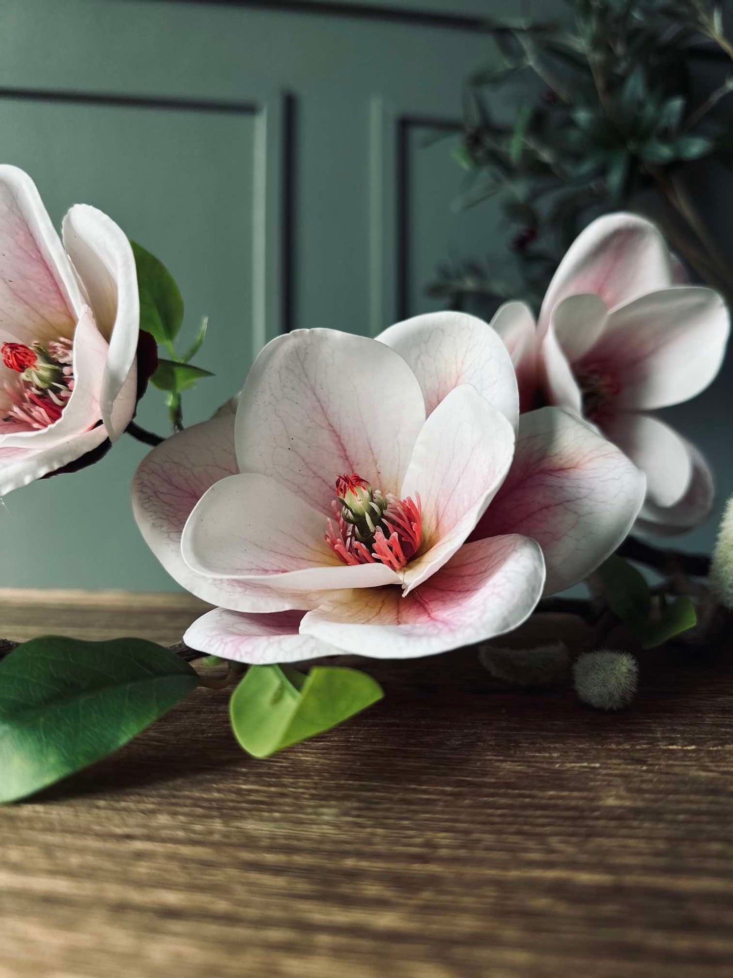 Magnolia Blomst - Rosa