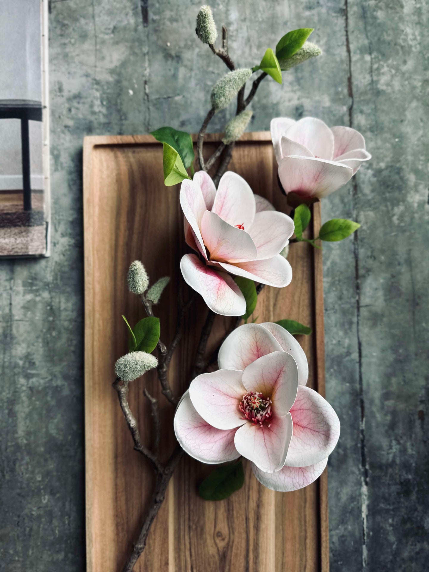 Magnolia Blomst - Rosa