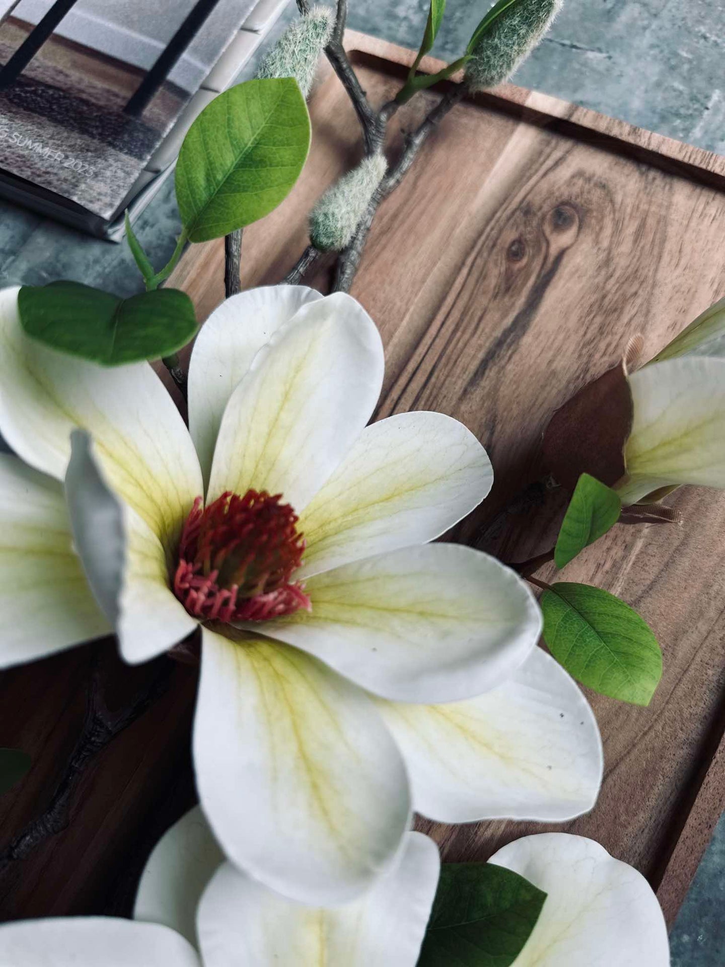 Blomst Magnolia - Hvit