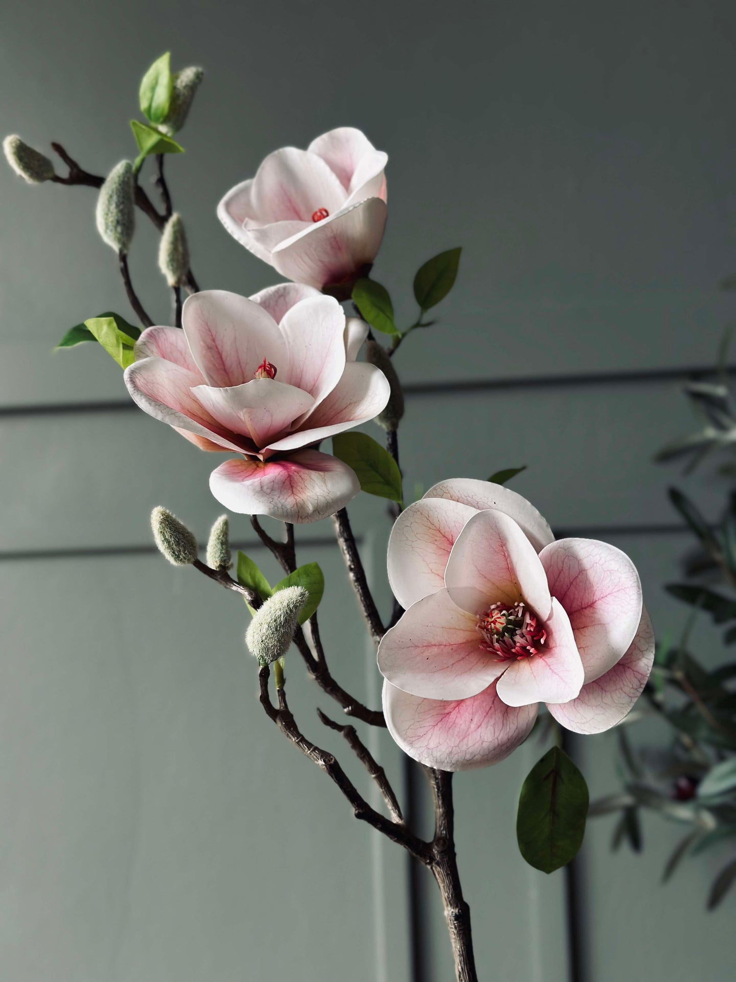 Magnolia Blomst - Rosa