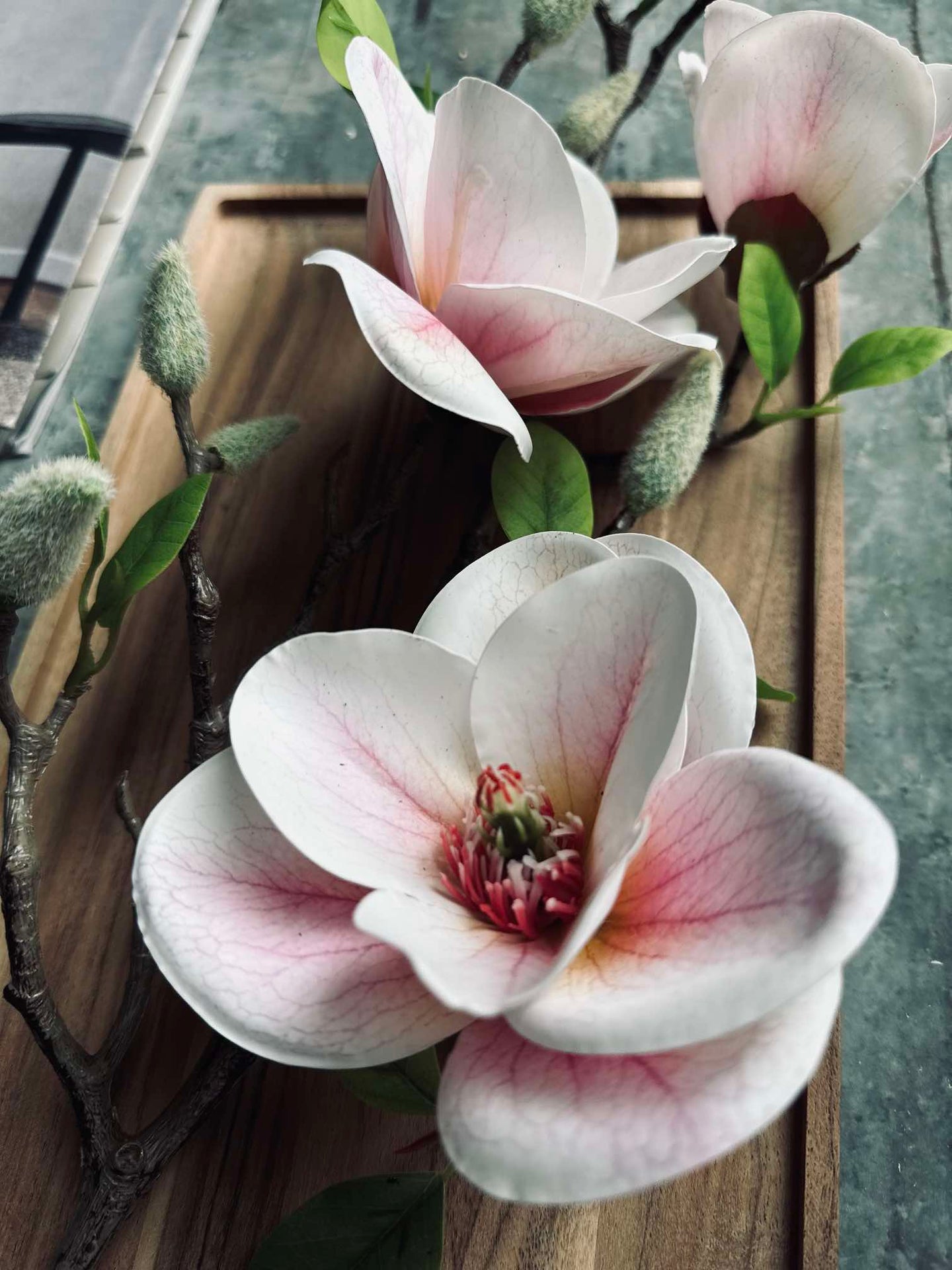 Magnolia Blomst - Rosa