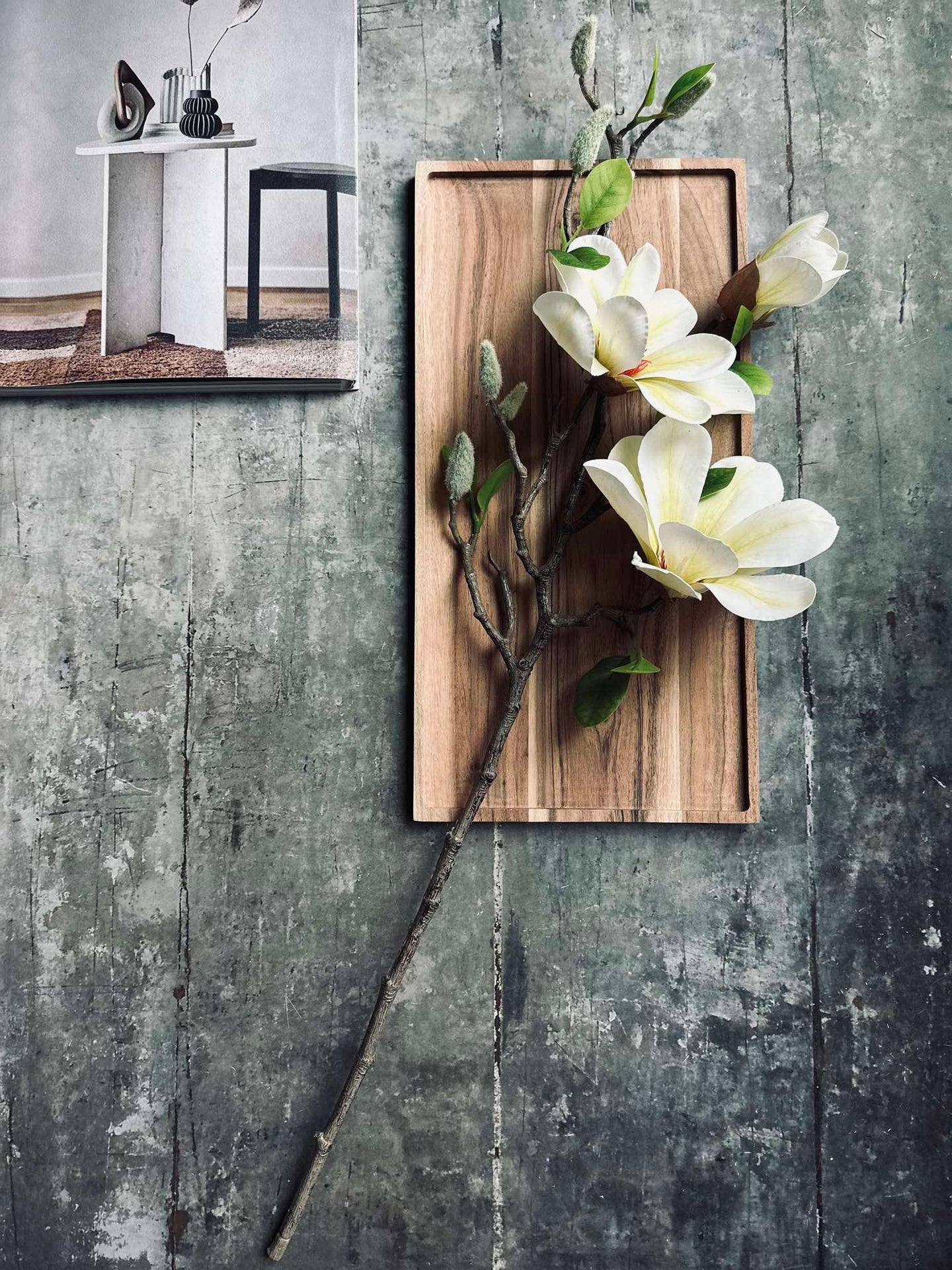 Blomst Magnolia - Hvit