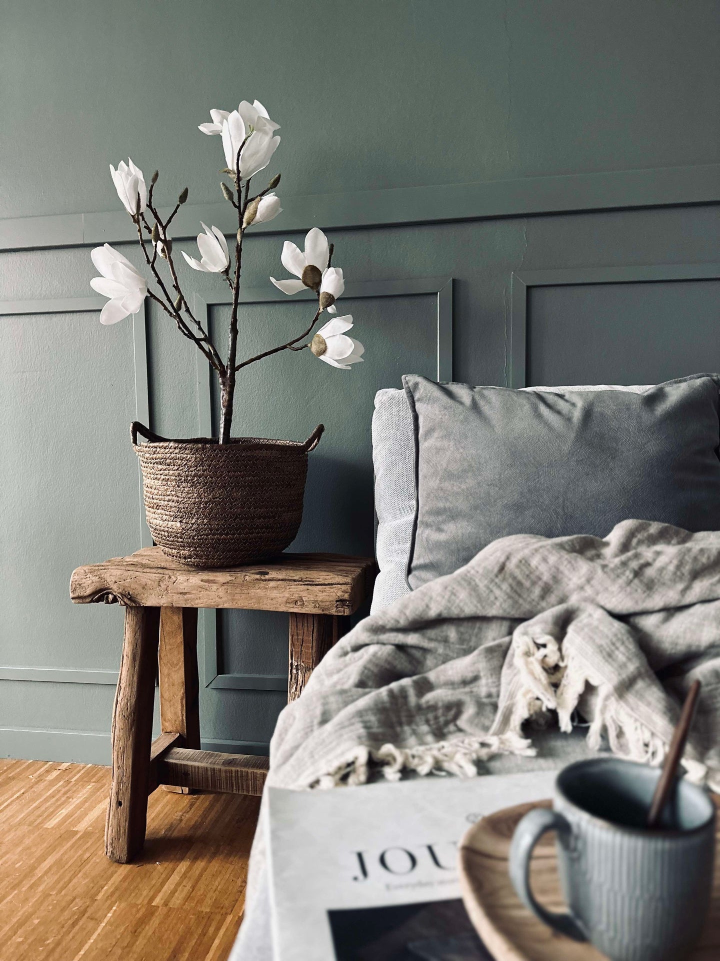 Magnoliatre i potte - 70 cm Hvit