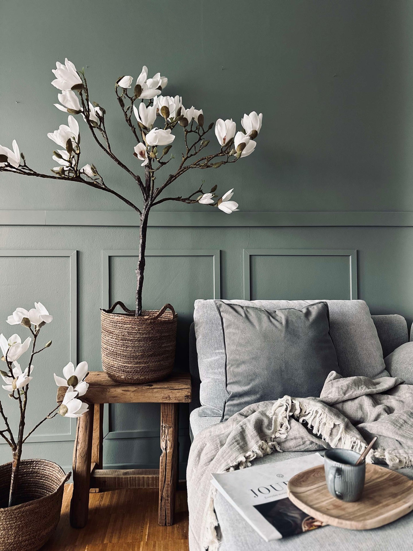 Magnoliatre i potte - 120 cm Hvit