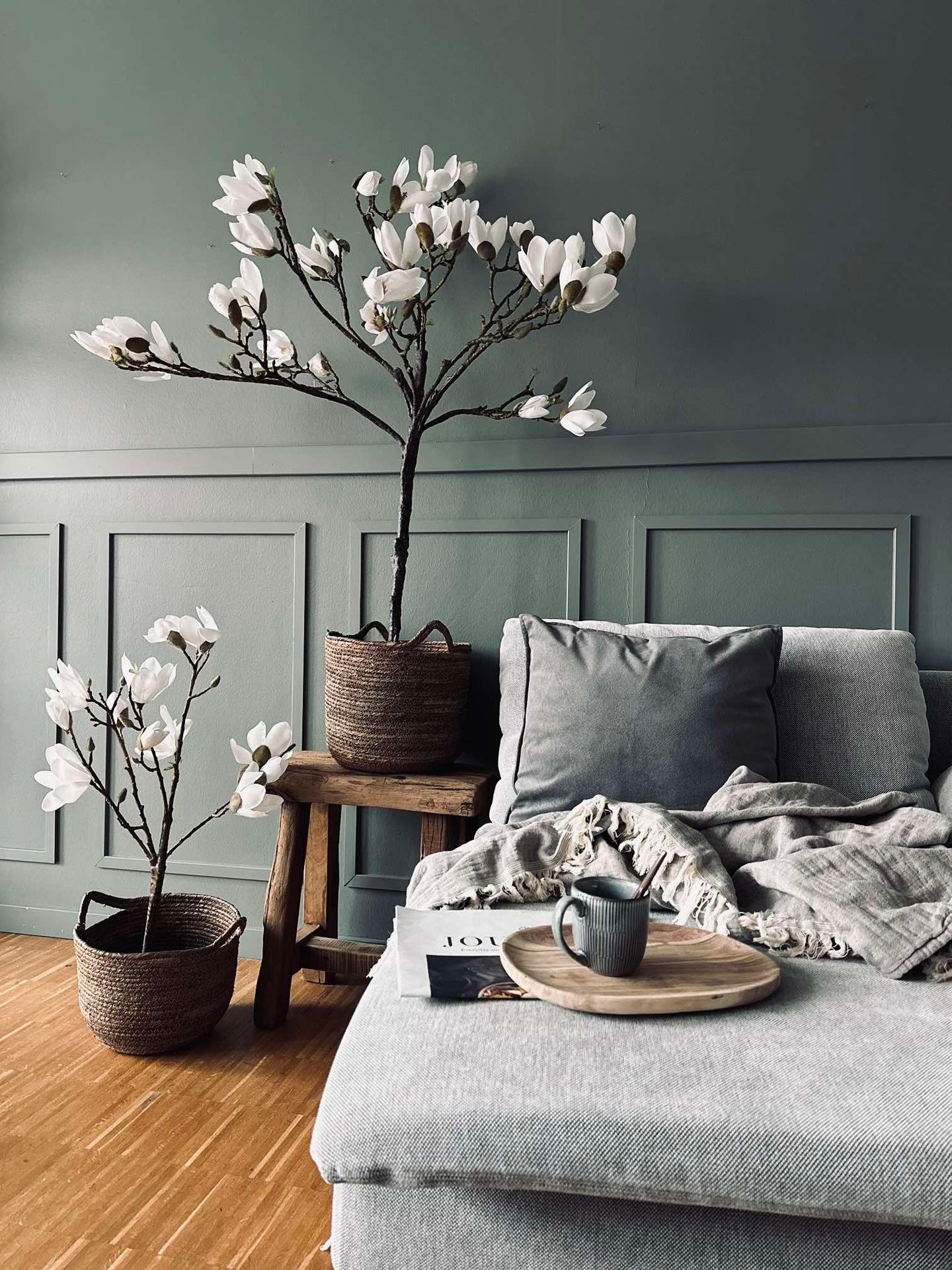 Magnoliatre i potte - 70 cm Hvit