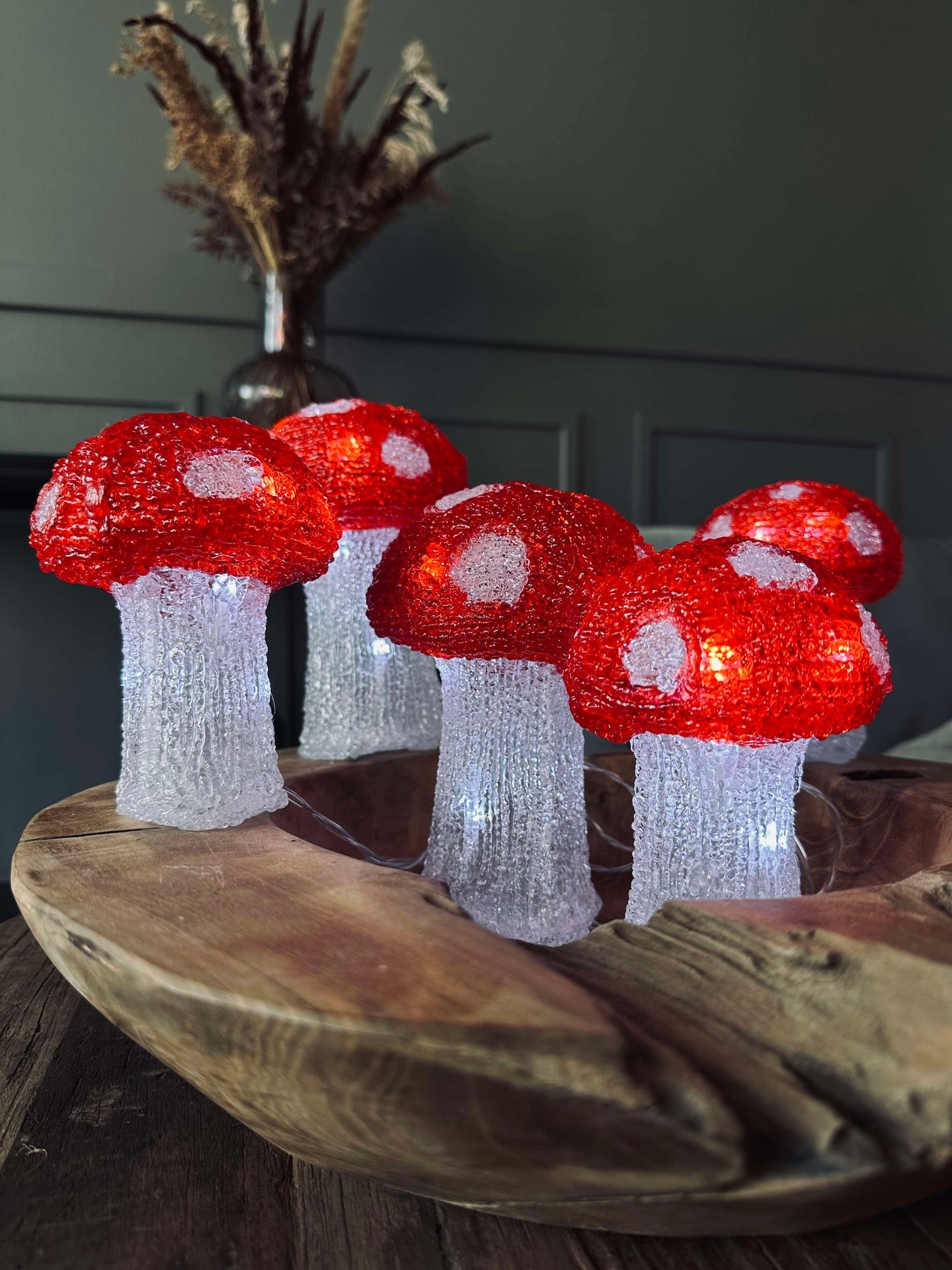 Mushroom-sett med 5 lamper - Godkjent for innendørs og utendørs bruk