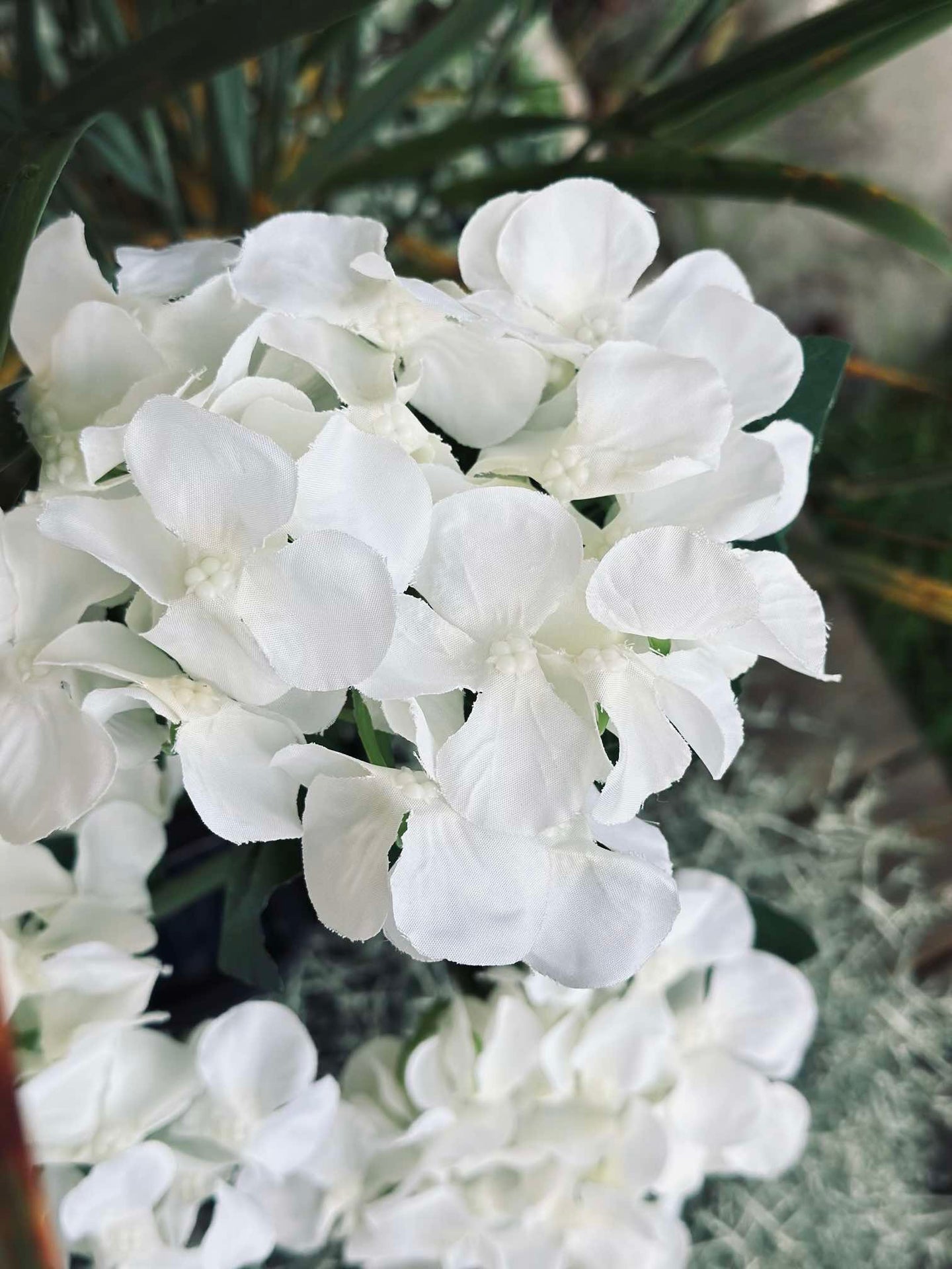 Hortensia med solceller - Hvit