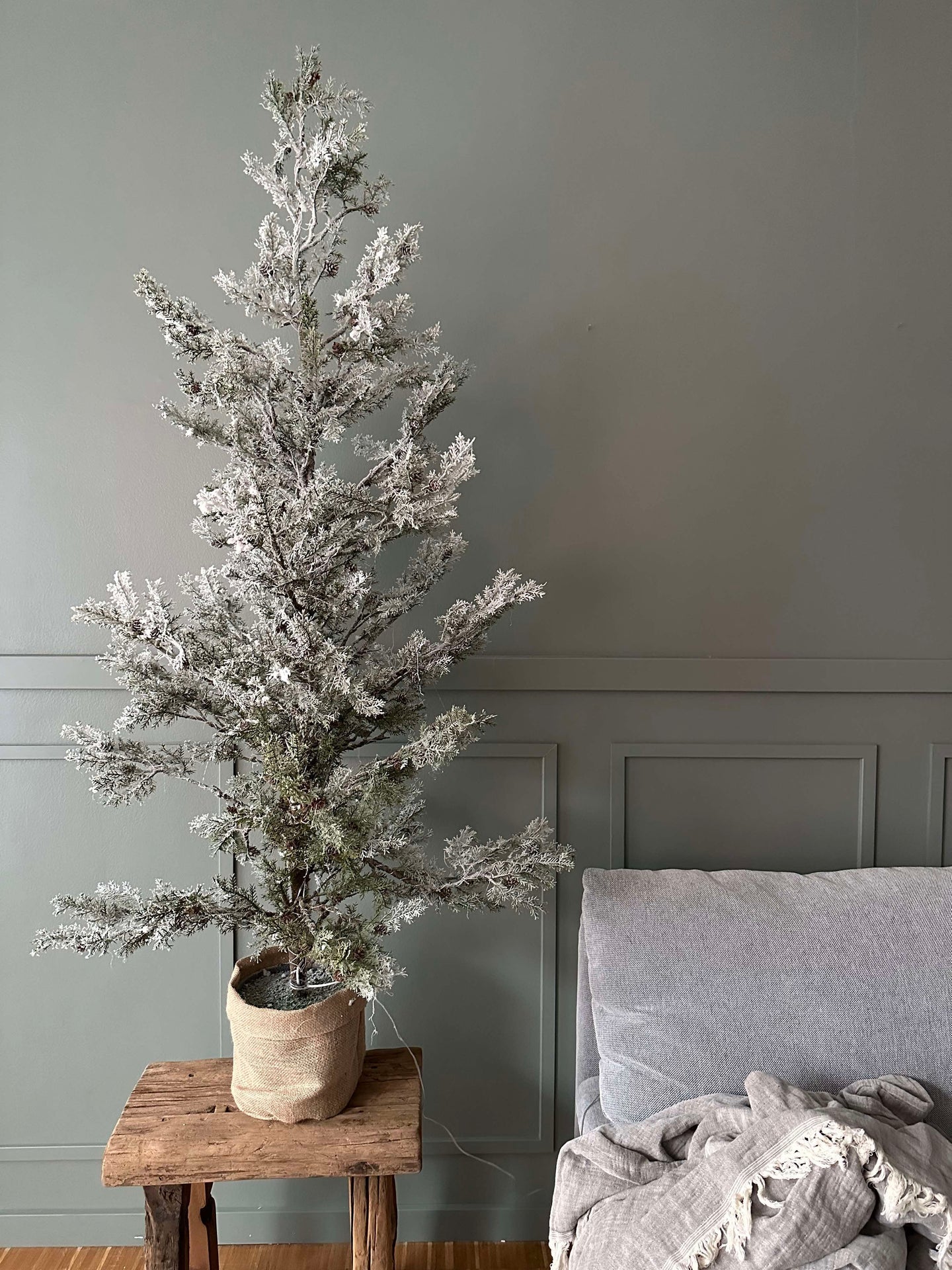 Tre med kongler og lyskjede - 150 cm