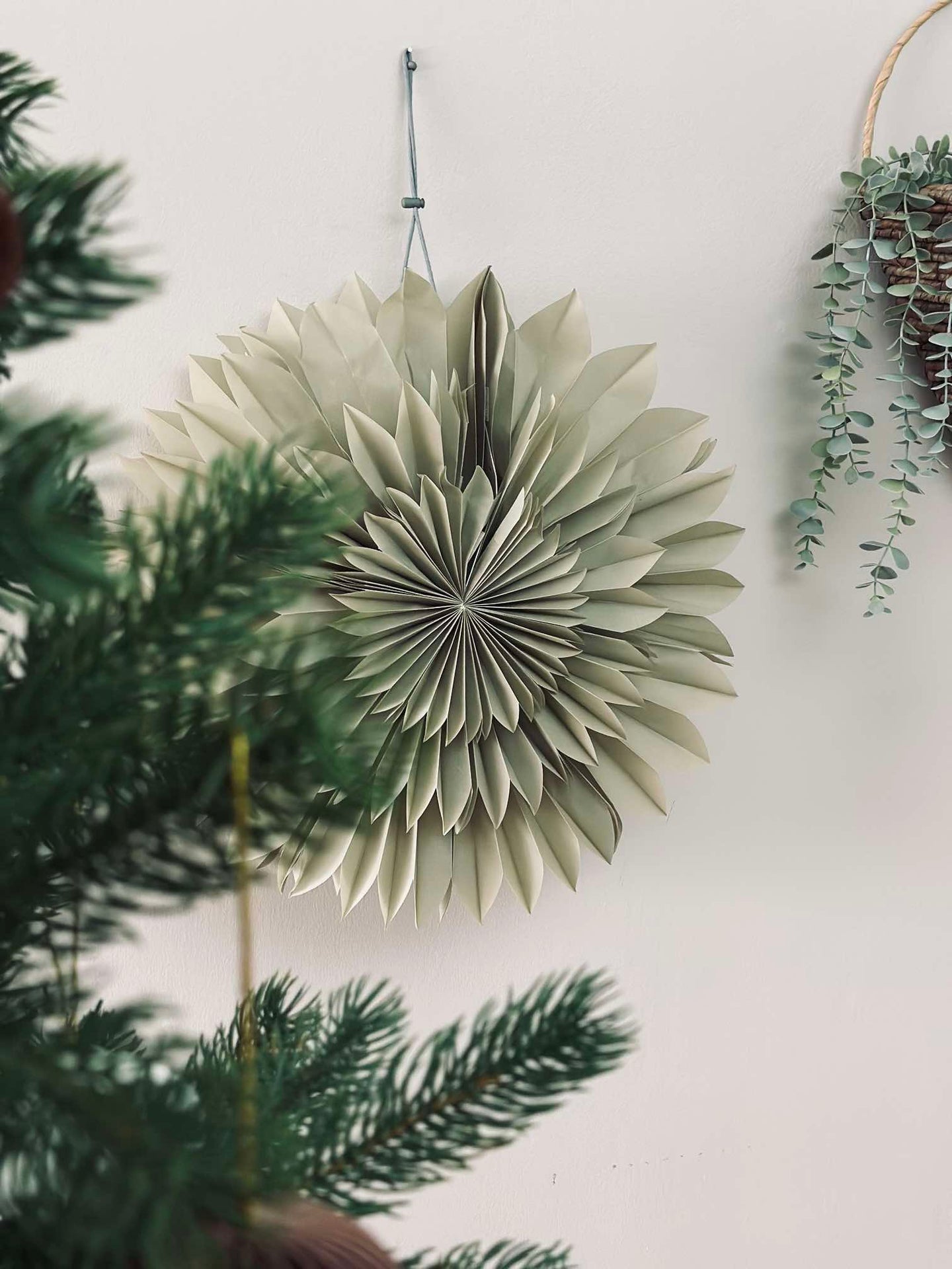 Stjerne Dusty green - 50 cm