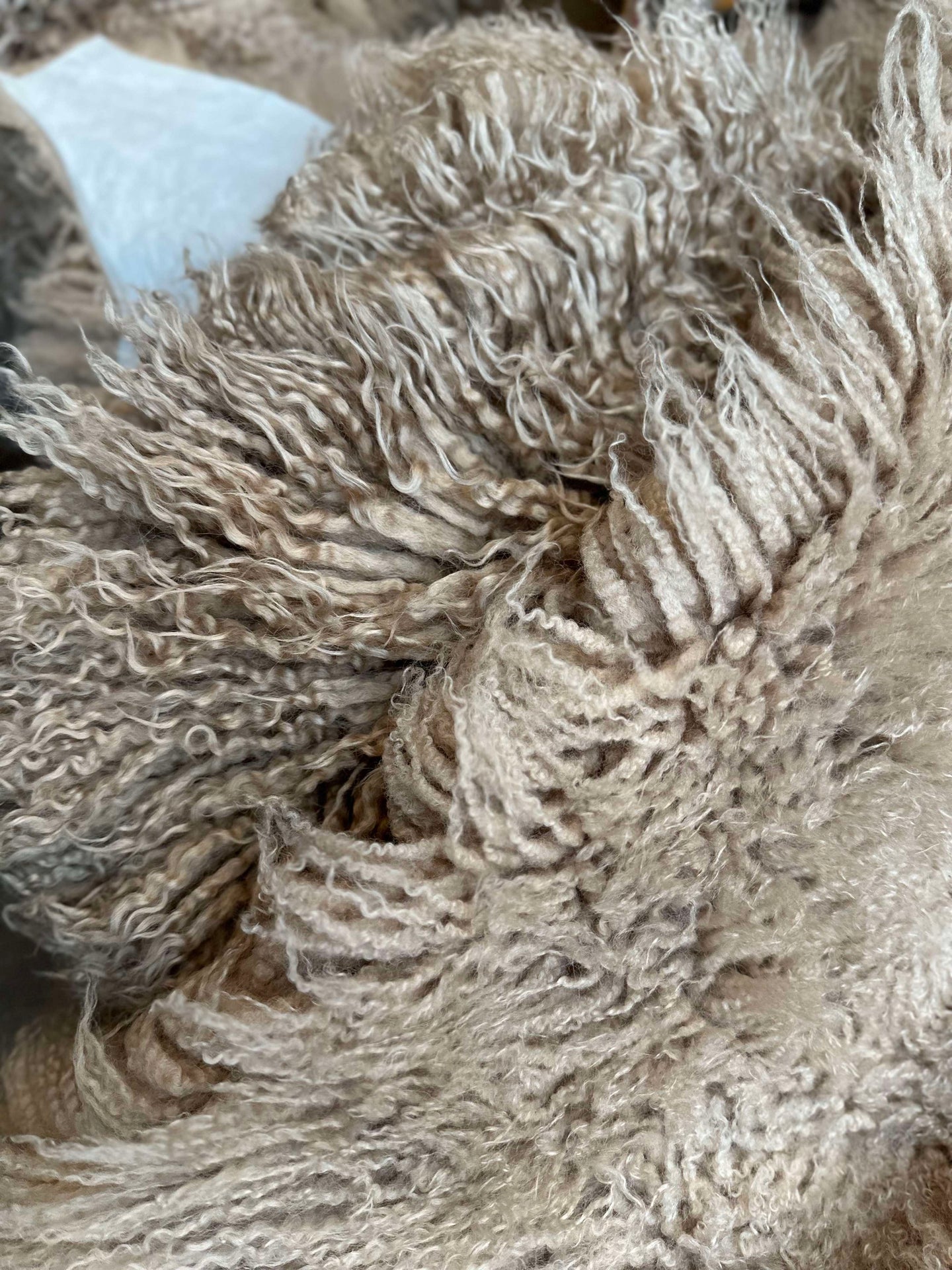 Islandsk lammeskinn – Moccachino