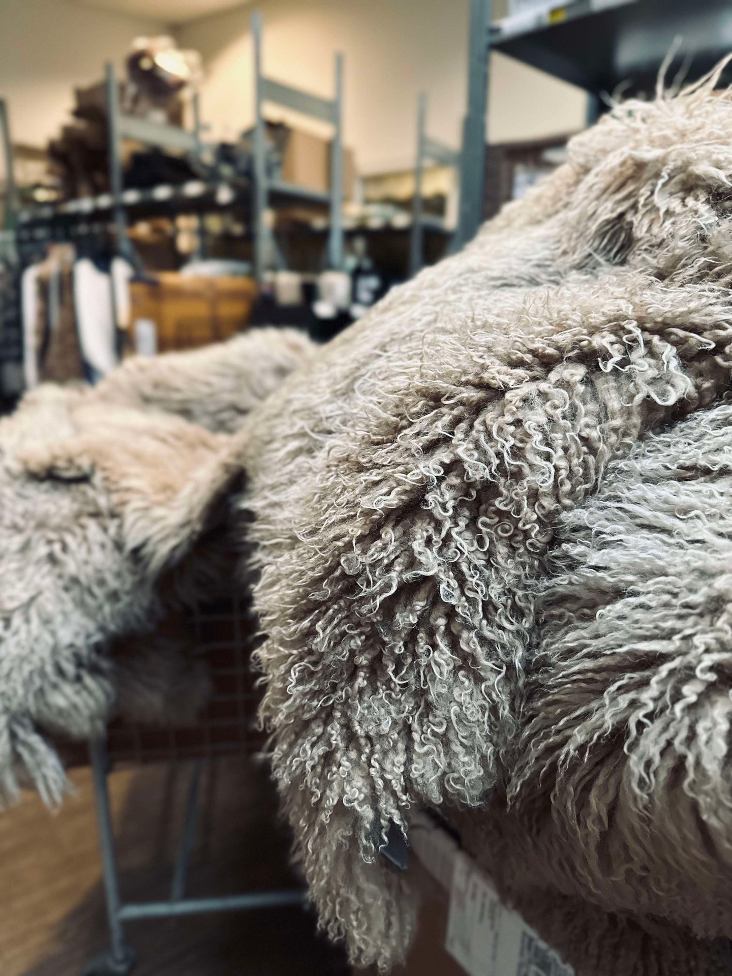 Islandsk lammeskinn – Moccachino