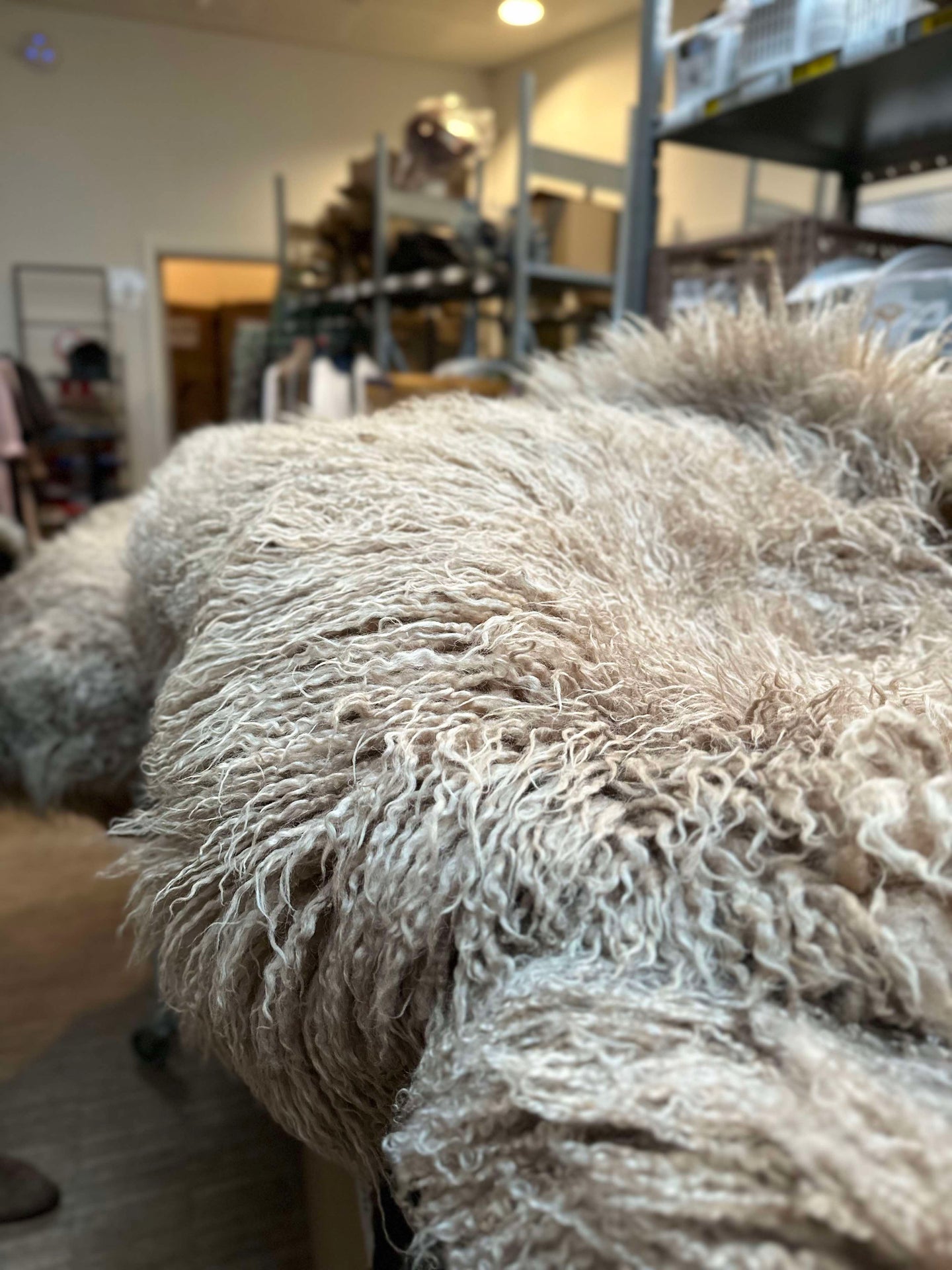 Islandsk lammeskinn – Moccachino