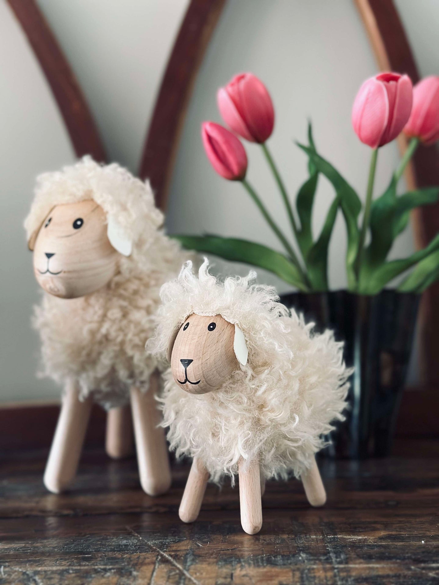 Sau med langhåret pels - Natur