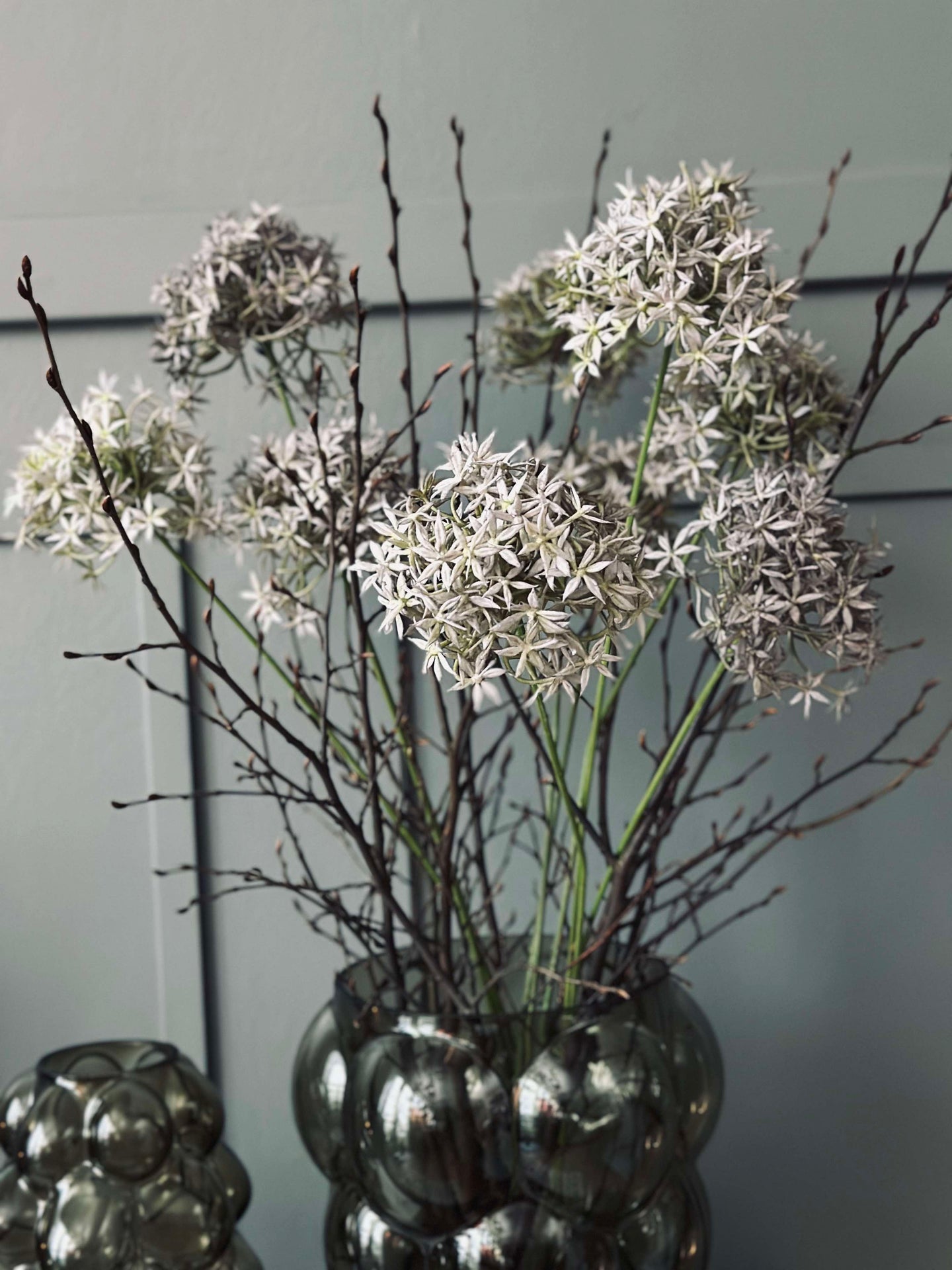 Blomst Allium