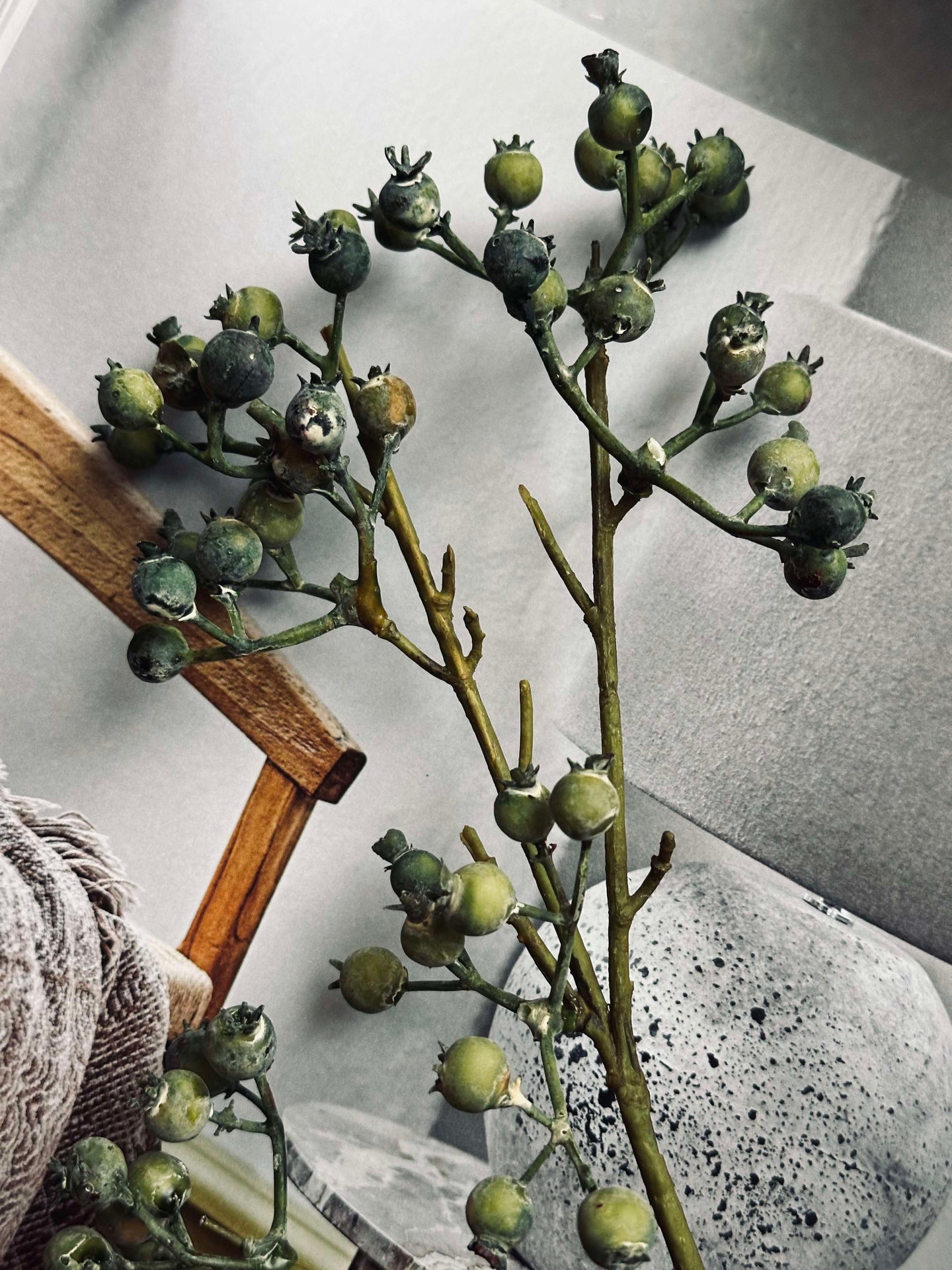 Blomst Mariebær