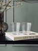 Glas Claire 300 ml. - 2 stk.