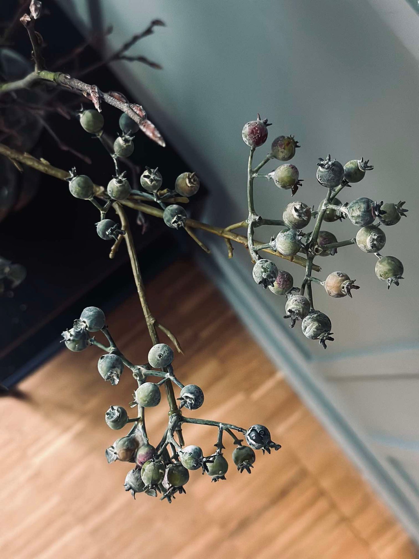 Blomst Mariebær
