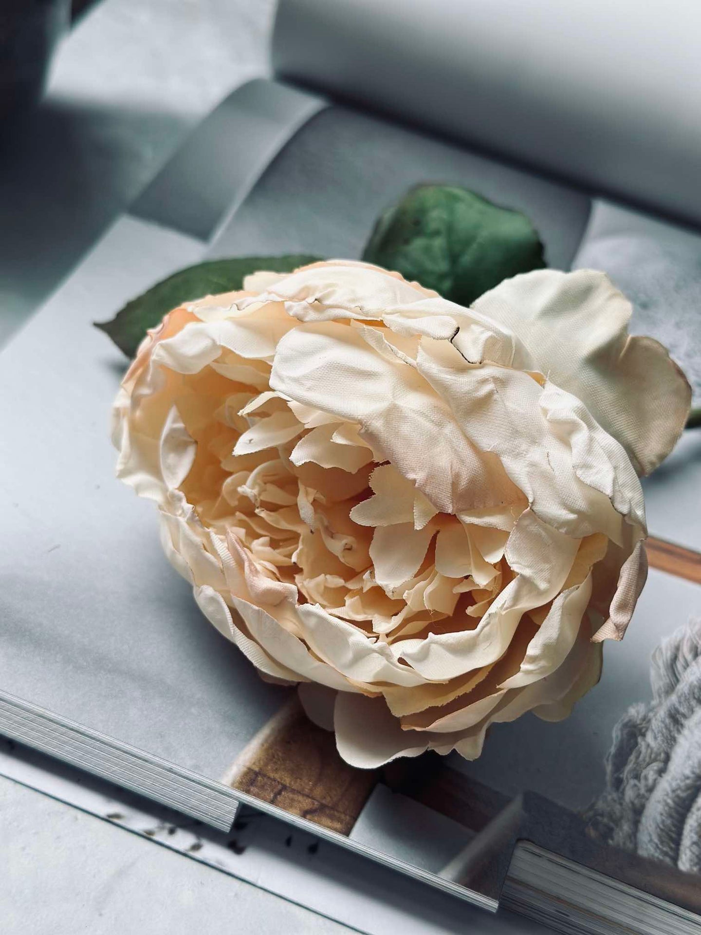 Blomst silk Peon Krem