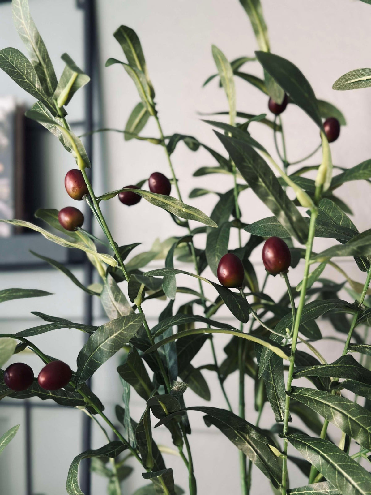 Oliventre 85 cm
