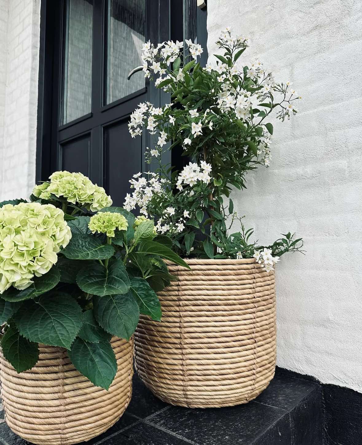 Plantekurver RATTAN – Sett med 3 størrelser