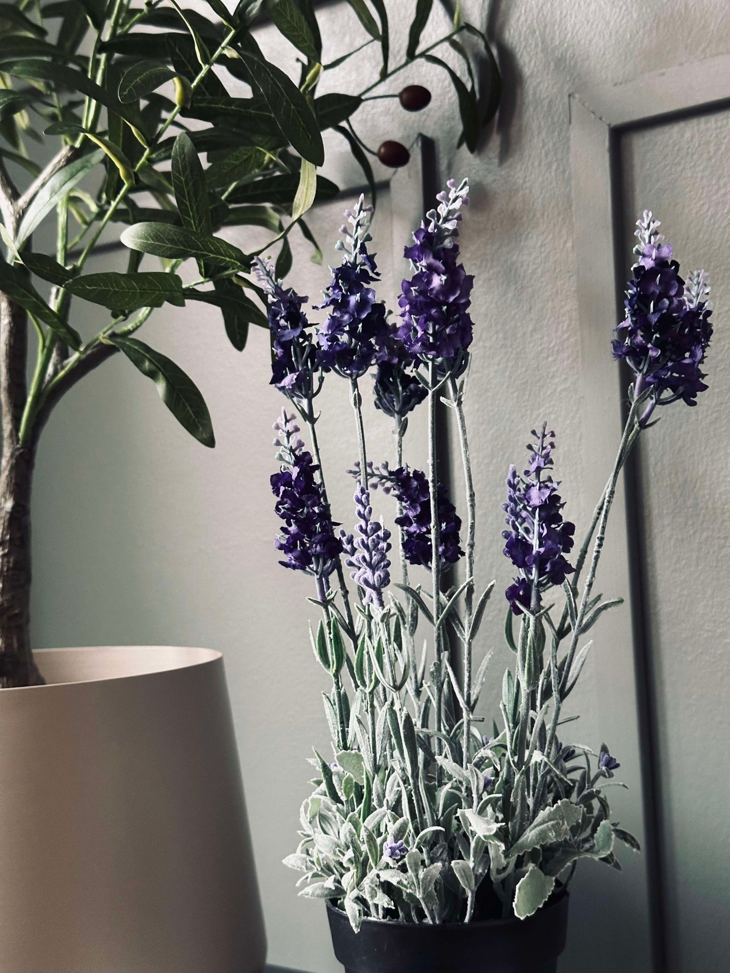Lavendel 40 cm - Mørk lilla
