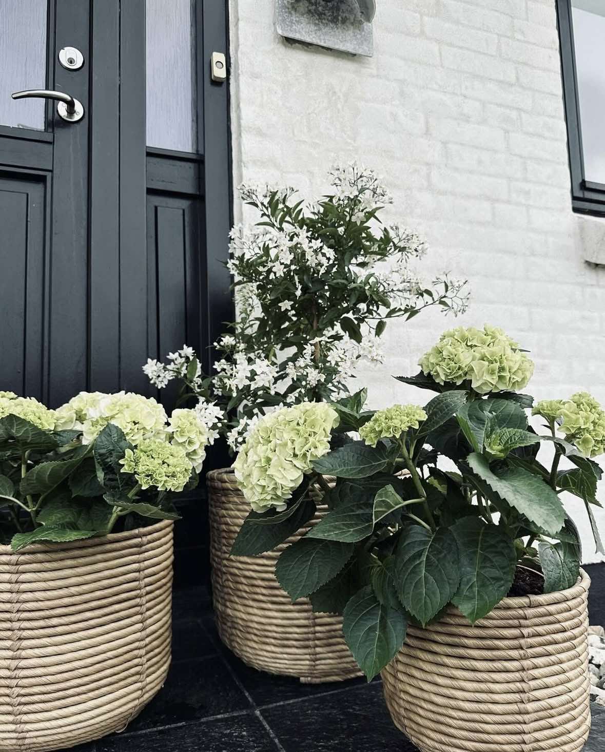 Plantekurver RATTAN – Sett med 3 størrelser