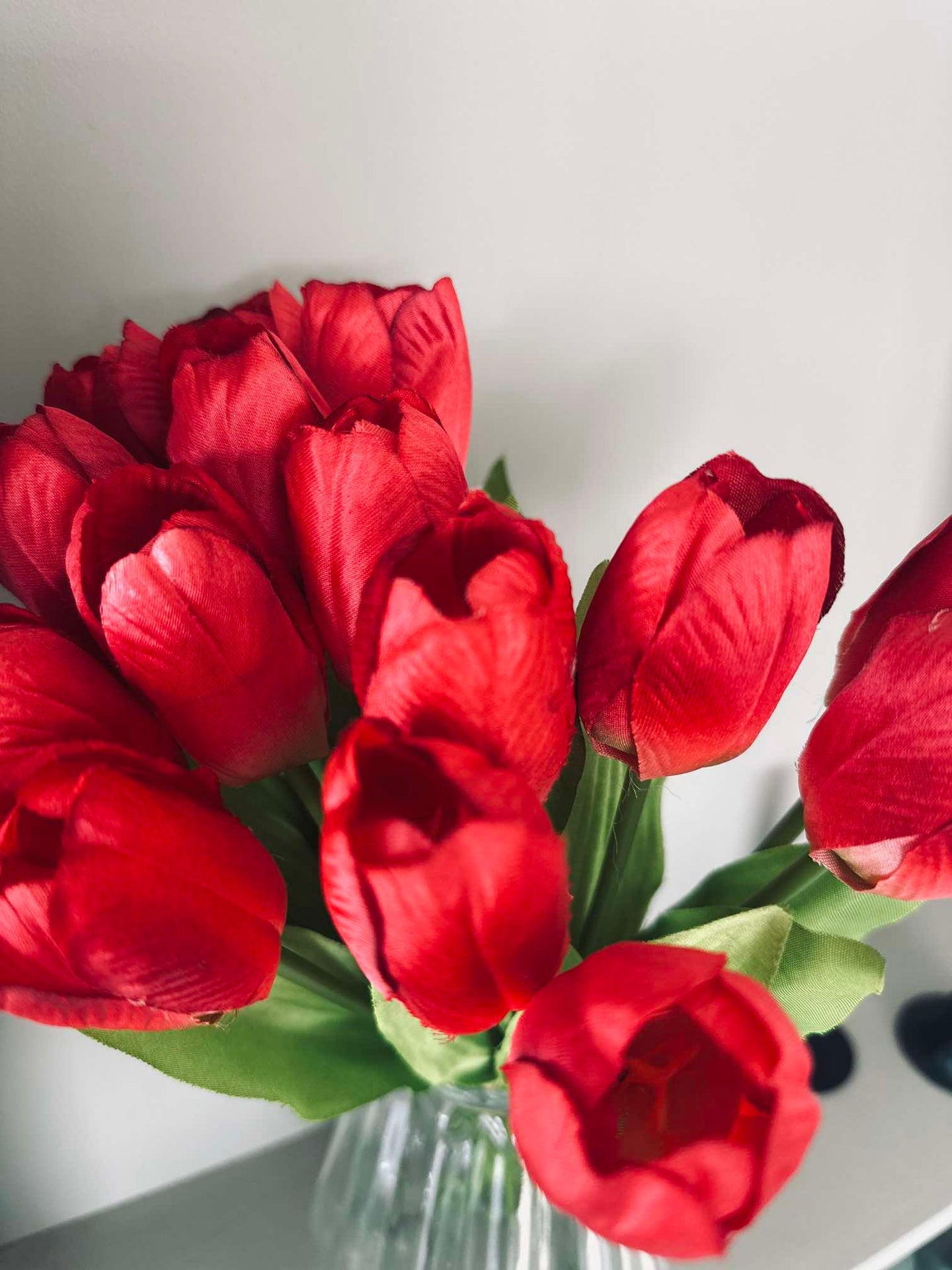 Tulipaner Bordeaux