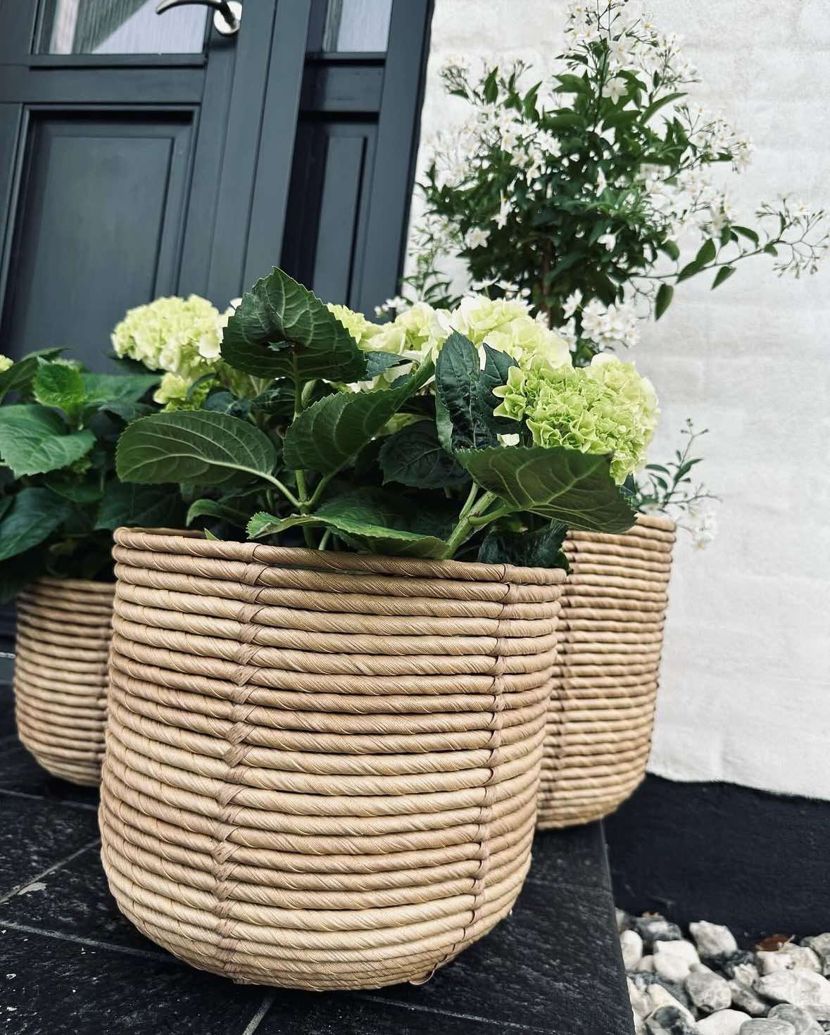 Plantekurver RATTAN – Sett med 3 størrelser