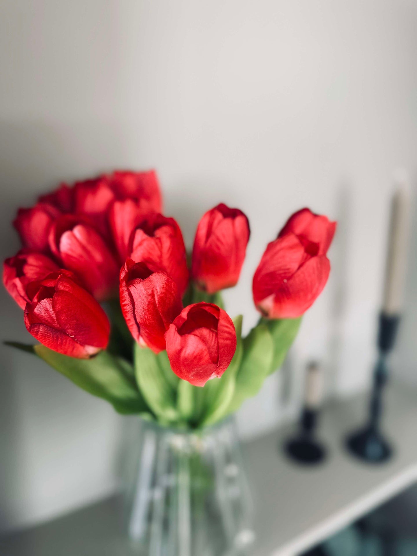 Tulipaner Bordeaux