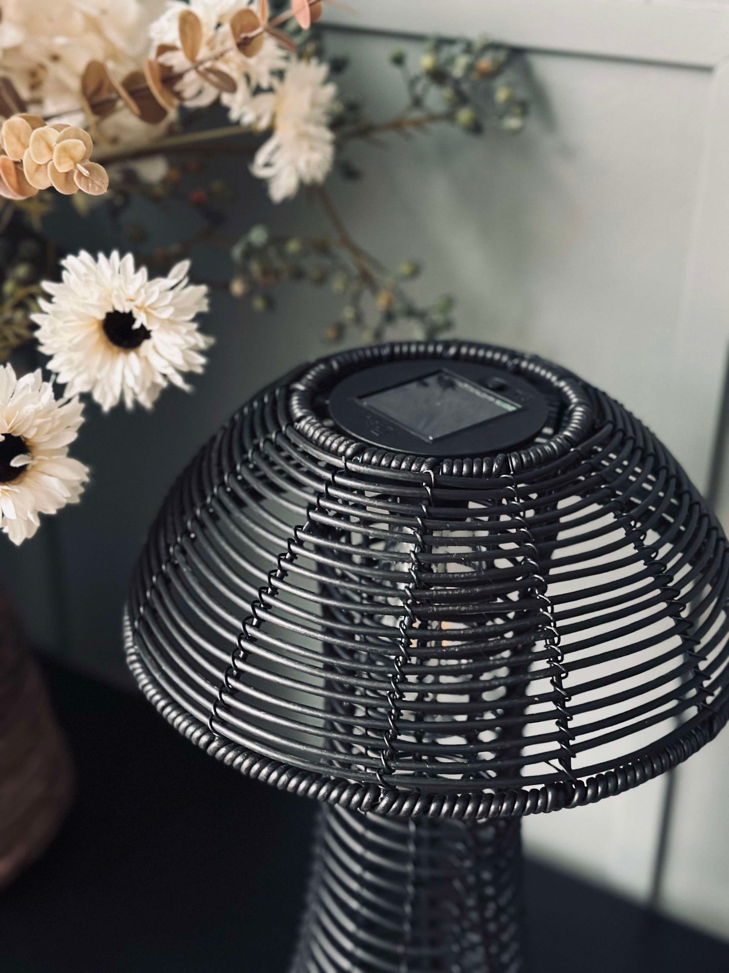 Mushroom Solar - Black Small