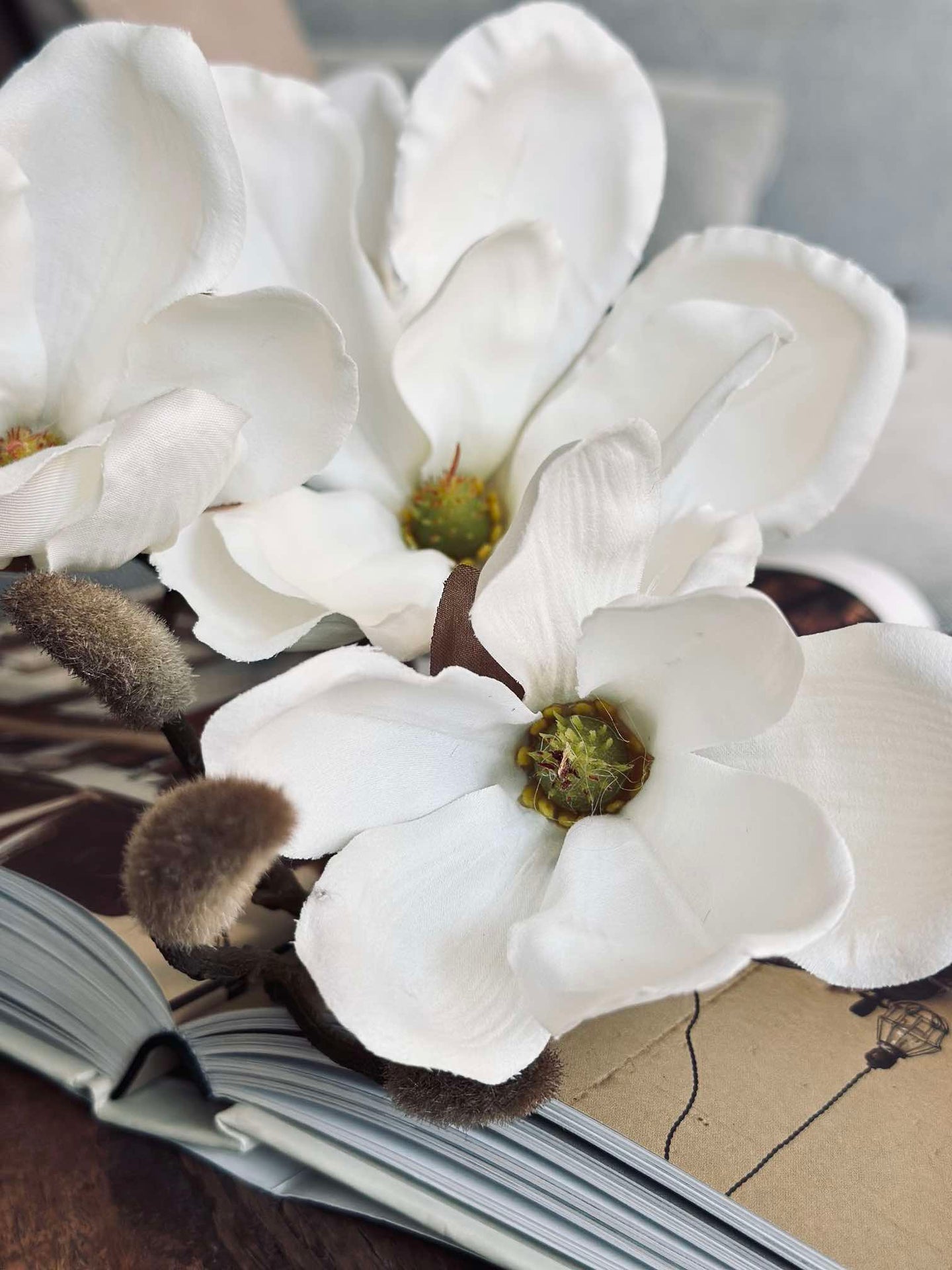 Magnoliagren - 92 cm