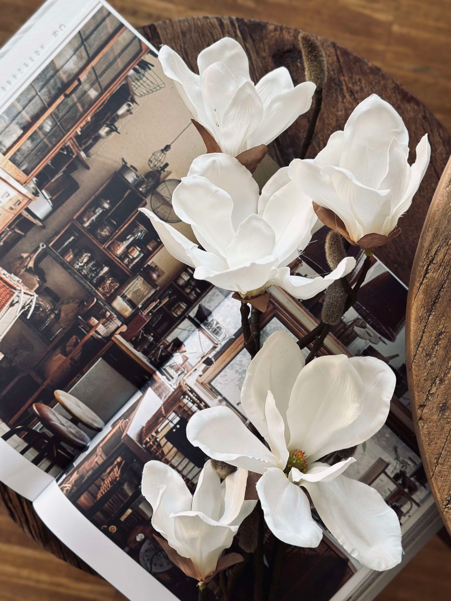 Magnoliagren - 92 cm