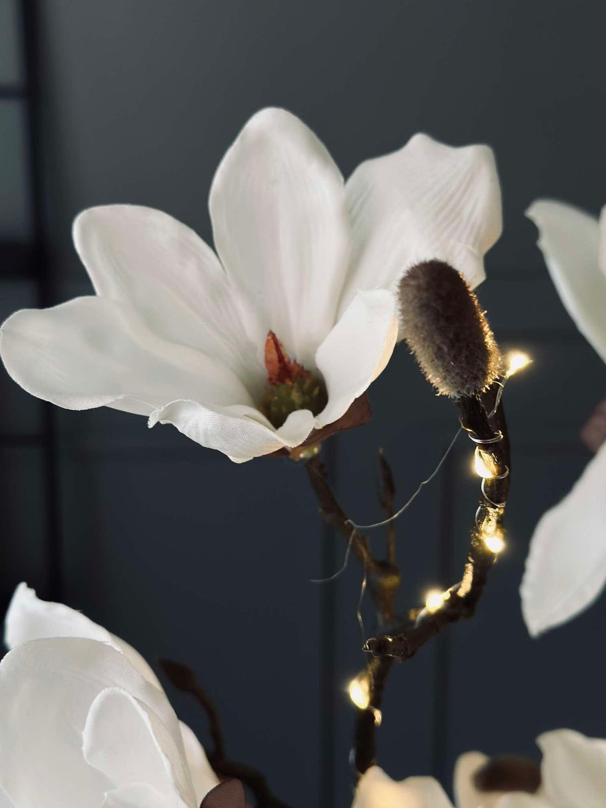 Magnoliagren med lys