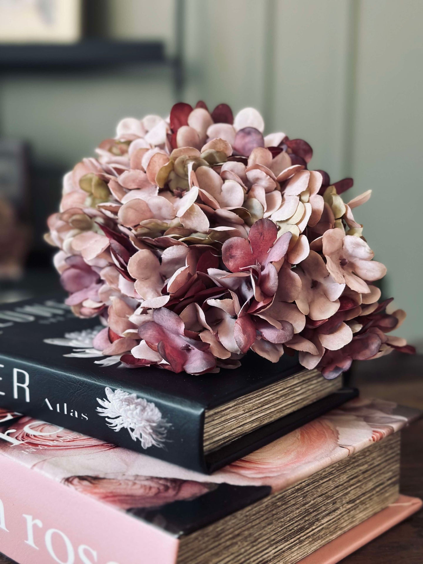 Hortensia Old Rose