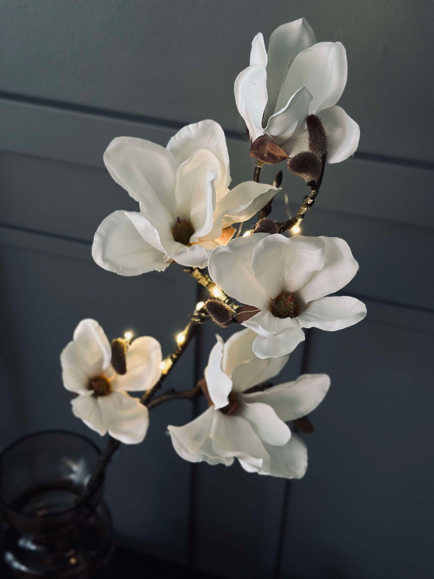 Magnoliagren med lys